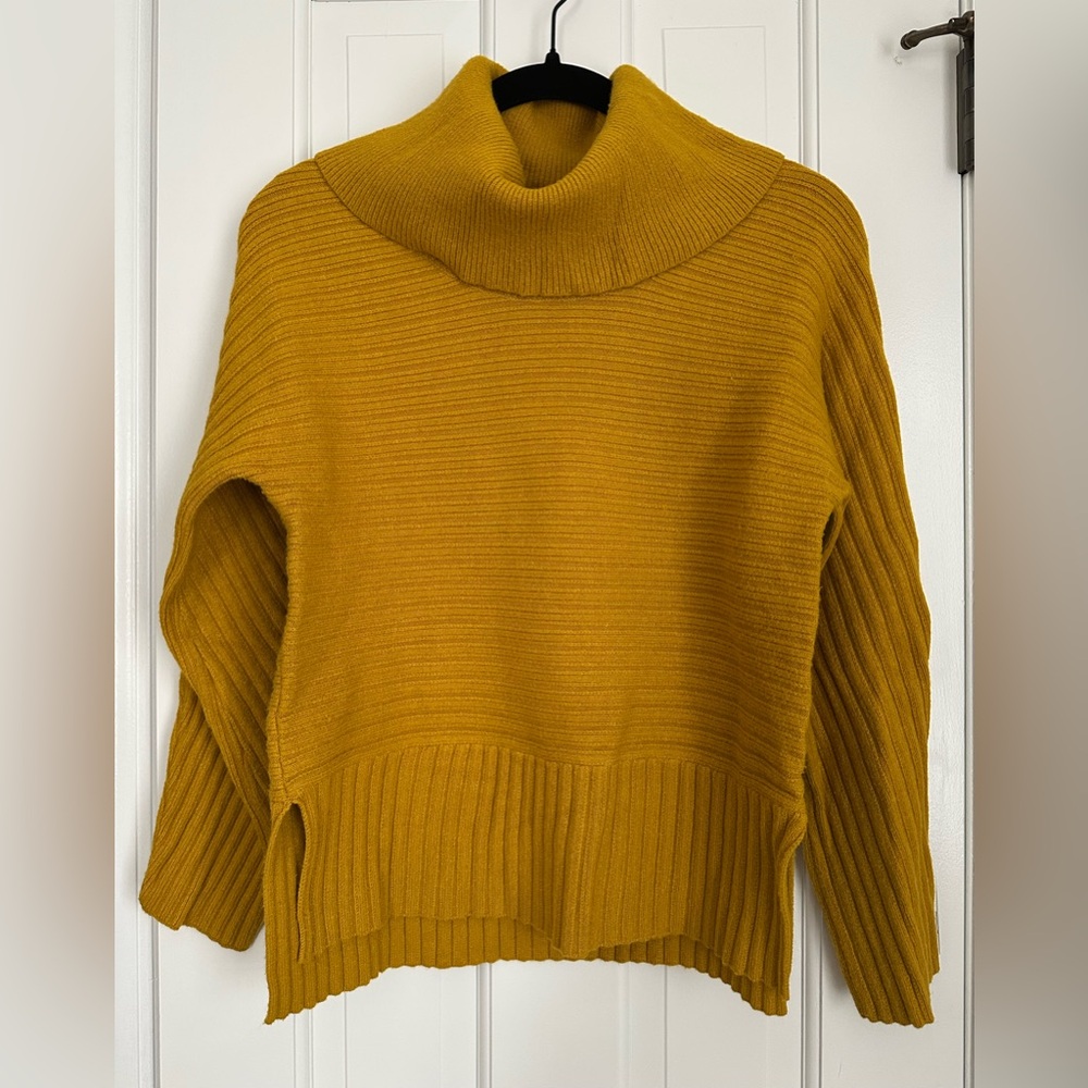 Anthropologie sweater turtleneck